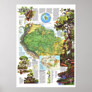 Poster "Amazônia: 1992 Um MAPA Mundial De Recursos Em Ris
