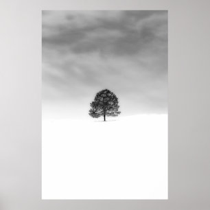 POSTER AME A SIMPLICIDADE DA FOTOGRAFIA DO INVERNO.