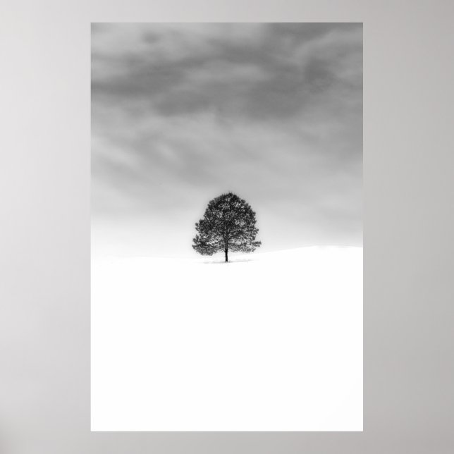 POSTER AME A SIMPLICIDADE DA FOTOGRAFIA DO INVERNO. (Frente)