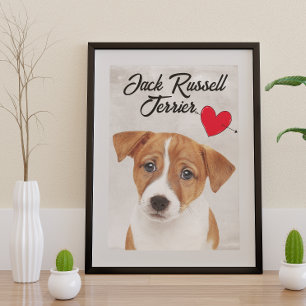 Póster Ame Meu Jack Russell Terrier