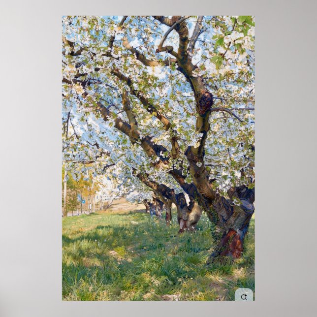 Poster Ameixas de árvores de damasco de Van Gogh (Frente)