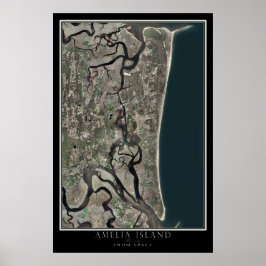 Póster Amelia Island From Space Satellite Map