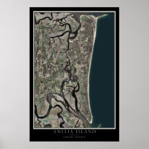 Póster Amelia Island From Space Satellite Map