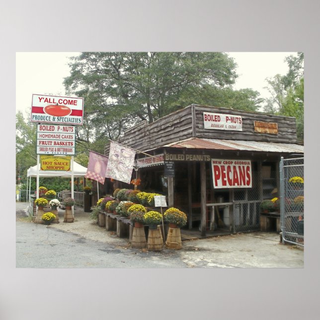 Póster Amendoins cozidos VÊM (Frente)