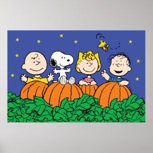 Poster Amendoins   É o Excelente Pumpkin Charlie Brown