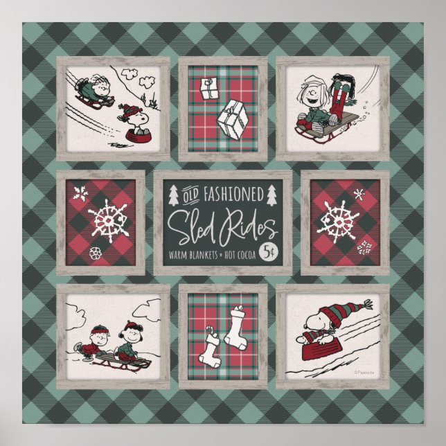 Poster Amendoins | Padrões antigos de salga (Frente)