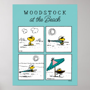 Poster Amendoins Woodstock na praia