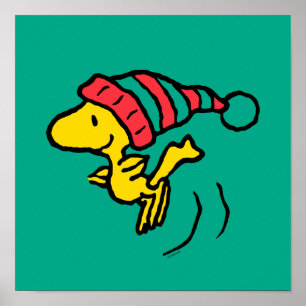 Poster Amendoins Woodstock Winter Beanie Boné