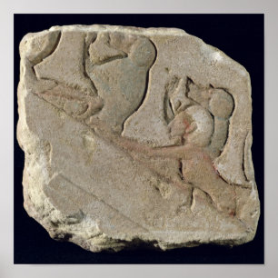 Poster Amenophis IV com babuínos, reino novo