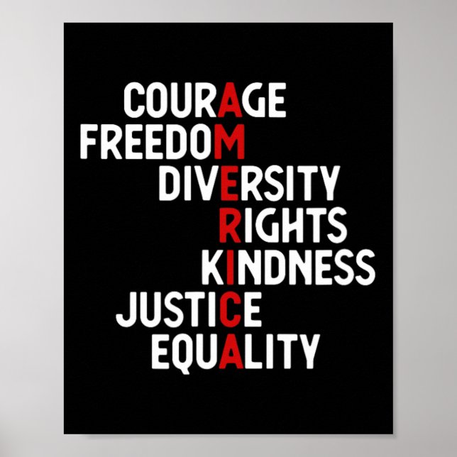 Poster América Coragem Liberdade Diversidade Direitos Ami (Frente)