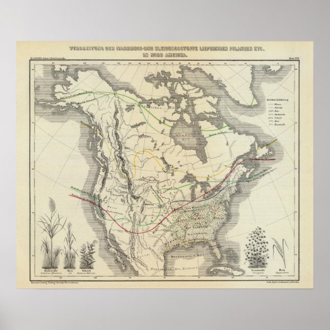 Poster América do Norte 13 (Frente)