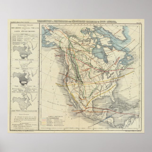 Poster América do Norte 33 (Frente)