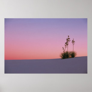 Póster América do Norte, América, Novo México, Branco