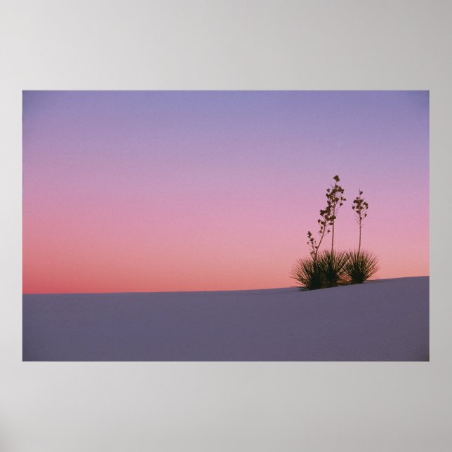 Póster América do Norte, América, Novo México, Branco (Frente)