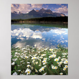 Poster América do Norte, Canadá, Alberta, Parque Nacional