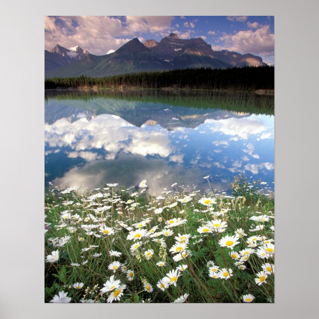 Poster América do Norte, Canadá, Alberta, Parque Nacional (Frente)