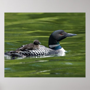 Póster América do Norte, Canadá, Colúmbia Britânica, Lac
