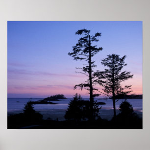 Póster América do Norte, Canadá, ilha de Vancouver, árvor