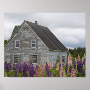 Póster América do Norte, Canadá, Ilha do Príncipe Edward,