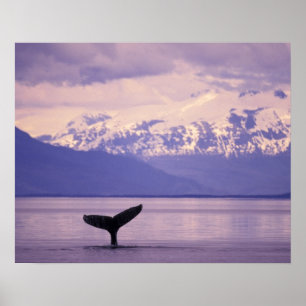 Póster América do Norte, EUA, Alasca, Dentro Passage.