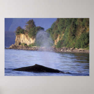 Poster America do Norte, EUA, Alaska, passagem interna