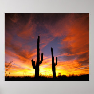 Póster América do Norte, EUA, Arizona, Deserto Sonoran.