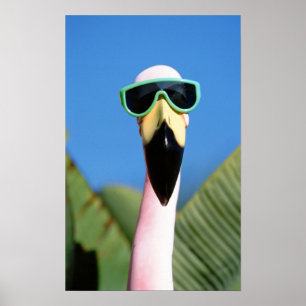 Póster América do Norte, EUA, Califórnia, San Diego. Ma