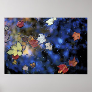 Póster América do Norte, EUA, NH, sai num lago próximo