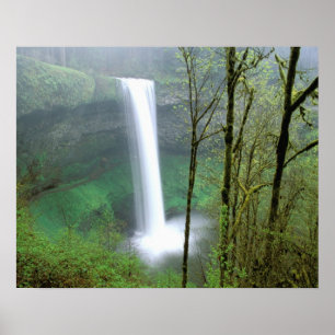 Póster América do Norte, EUA, Oregon, Silver Falls State