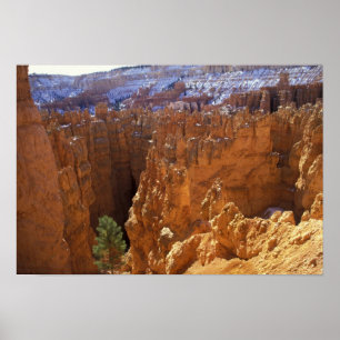 Poster América do Norte, EUA, Utah, Bryce Canyon