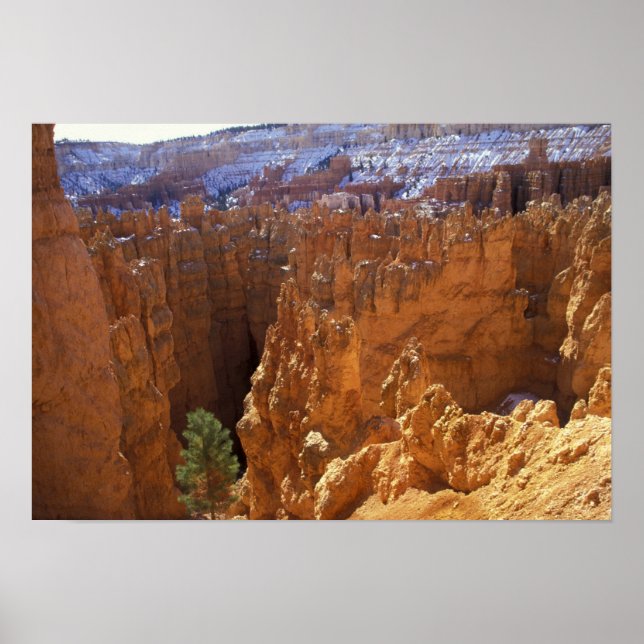 Poster América do Norte, EUA, Utah, Bryce Canyon (Frente)