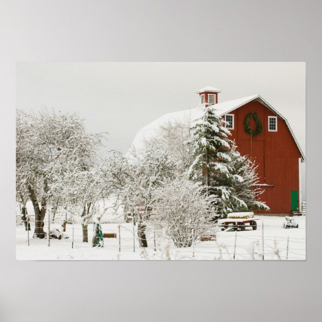 Poster América do Norte, EUA, WA, Ilha de Whidbey. (Frente)