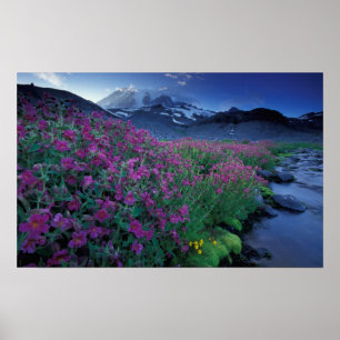Póster América do Norte, EUA, Washington, Mt. Rainier 6