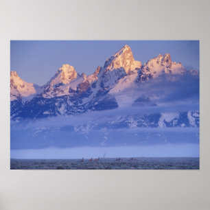 Póster América do Norte, EUA, Wyoming, Grand Teton NP, 2