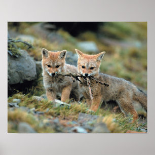 Poster América do Sul, Chile, Torres del Paine Nacional