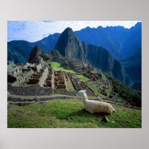 Póster Ámérica do Sul, Peru. Um lama descansa em um mon