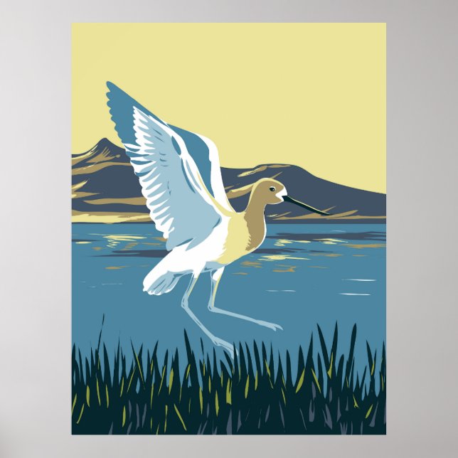 Poster American Avocet (Frente)