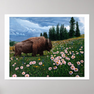 Póster American Bison - "Sem Tempo Para Flores"