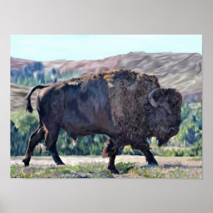 Poster American Buffalo Bison