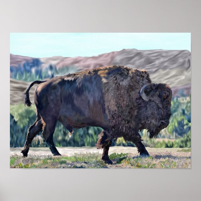 Poster American Buffalo Bison (Frente)