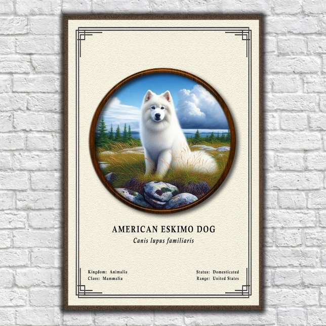 Poster American Eskimo Dog Zoology Series (Criador carregado)