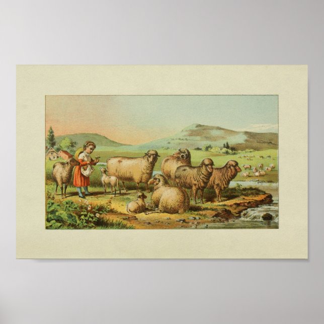 Poster American Farmer Vintage - Pastagem de Ovinos Impre (Frente)