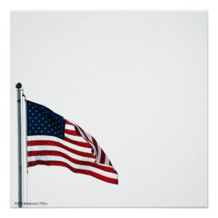 Póster American Flag 2371