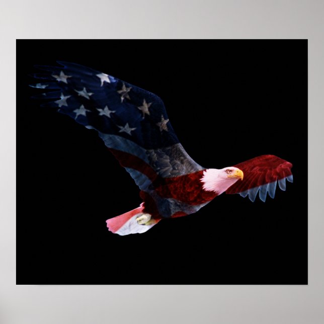 Poster American Flag Bald Eagle (Frente)