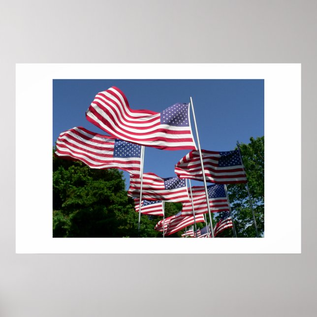 Poster American Flag Display (Frente)