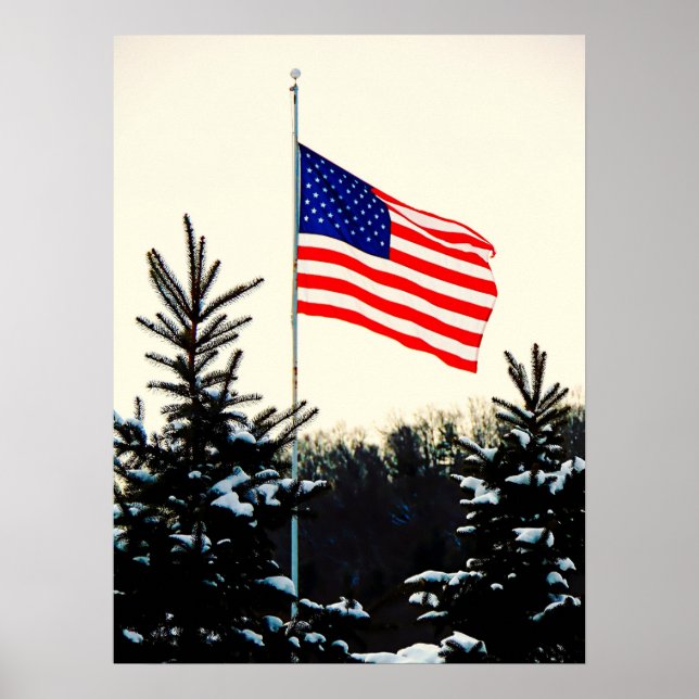 Poster American Flag in Snow (Frente)