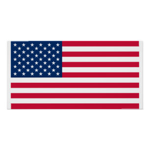 Póster American Flag Poster EUA