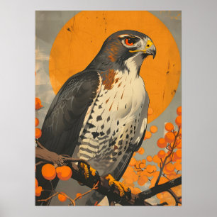 Poster American Goshawk