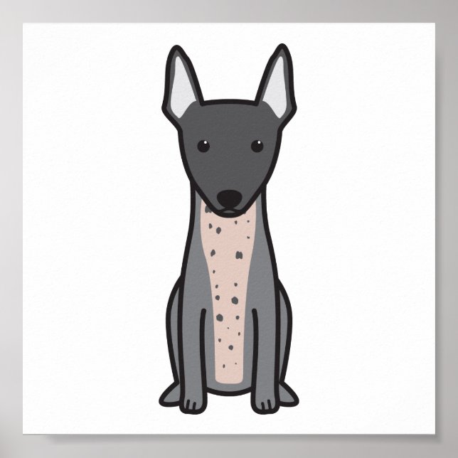 Poster American Hairless Terrier (Frente)