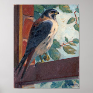 Poster American Kestrel - Kulhanek Wildlife (1942)